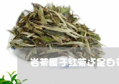 岩茶属于红茶还是白茶/2023093070593