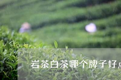 岩茶白茶哪个牌子好点/2023093017161