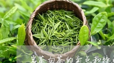 岩茶白茶的卖点和特点/2023093074392