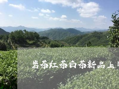 岩茶红茶白茶新品上市/2023093000818