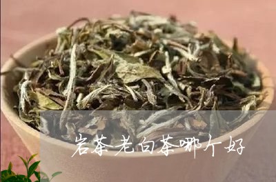 岩茶老白茶哪个好/2023061971838