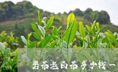 岩茶老白茶多少钱一斤/2023093016057