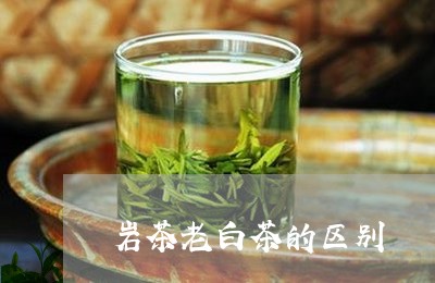 岩茶老白茶的区别/2023061967158