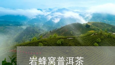 岩蜂窝普洱茶/2023042747808