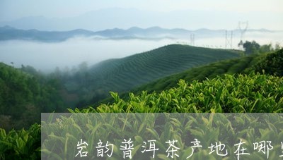 岩韵普洱茶产地在哪里啊/2023081481726