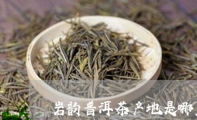 岩韵普洱茶产地是哪里/2023082941694