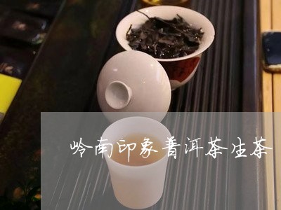 岭南印象普洱茶生茶/2023070996047