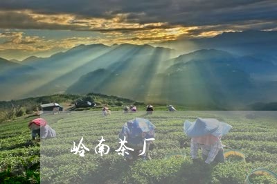 岭南茶厂/2023121948684