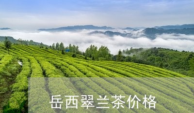 岳西翠兰茶价格/2023050102267