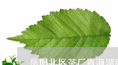 岳阳北区茶厂青海湖牌茯砖/2023051130383