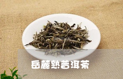 岳麓熟普洱茶/2023042522816