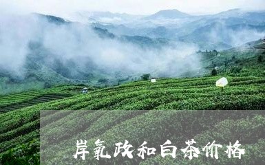 岸氧政和白茶价格/2023090895148