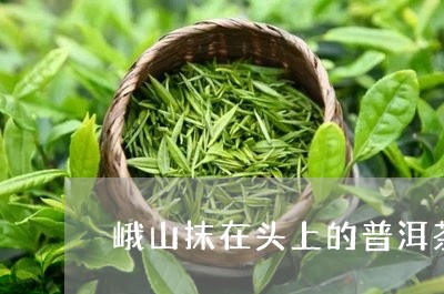 峨山抹在头上的普洱茶/2023120655038