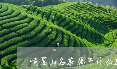 峨眉山名茶属于什么茶/2023060969493