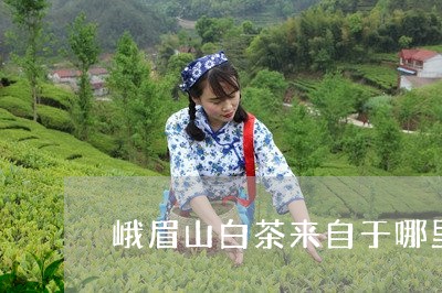 峨眉山白茶来自于哪里/2023093017370