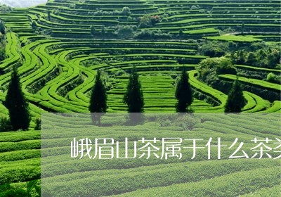 峨眉山茶属于什么茶类/2023071598181