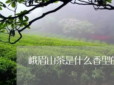 峨眉山茶是什么香型的普洱茶/2023110508479