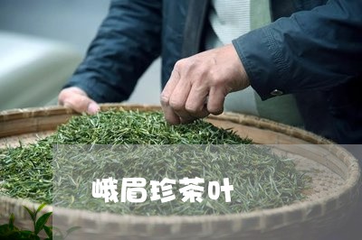 峨眉珍茶叶/2023090251803