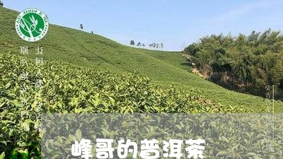 峰哥的普洱茶/2023102583926