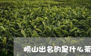 崂山出名的是什么茶/2023042130593