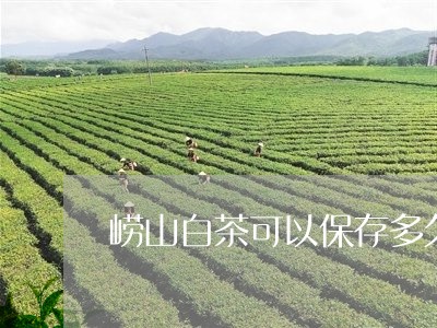 崂山白茶可以保存多久/2023093079695