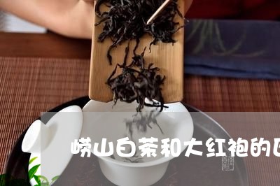 崂山白茶和大红袍的区别/2023102562605