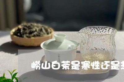 崂山白茶是寒性还是热性/2023102572482