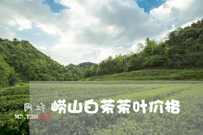 崂山白茶茶叶价格/2023061905051