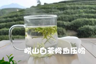 崂山白茶降血压吗/2023061987148