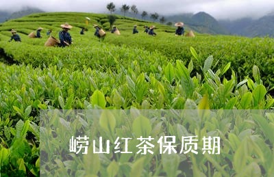 崂山红茶保质期/2023042939221