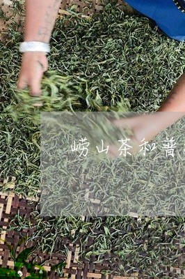 崂山茶和普洱茶哪个好/2023062442816