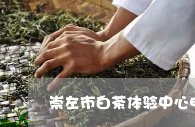 崇左市白茶体验中心电话/2023102568692