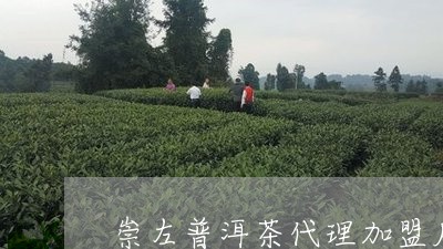 崇左普洱茶代理加盟店/2023092536260