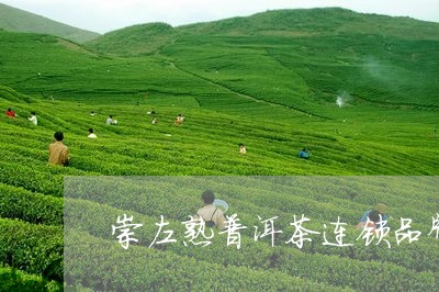 崇左熟普洱茶连锁品牌/2023100504127