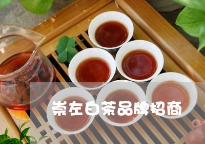 崇左白茶品牌招商/2023062044260