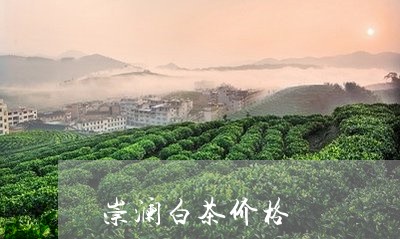 崇澜白茶价格/2023051200514