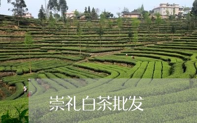 崇礼白茶批发/2023051285237