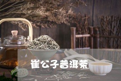 崔公子普洱茶/2023081837592