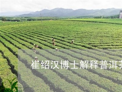 崔绍汉博士解释普洱茶/2023062365562