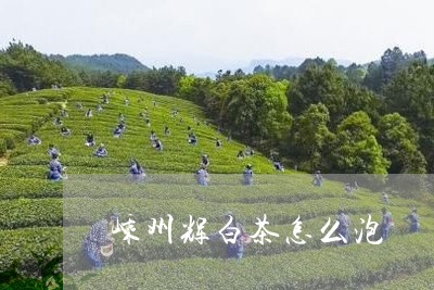 嵊州辉白茶怎么泡/2023062071594