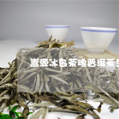 嵩源冰岛茶魂普洱茶生茶/2023050569683