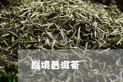 巅境普洱茶/2023102517260