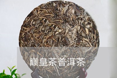 巅皇茶普洱茶/2023101600570