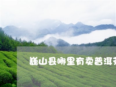 巍山县哪里有卖普洱茶/2023062304026