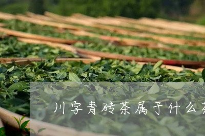 川字青砖茶属于什么茶/2023071515137