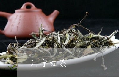 川宁红茶/2023121982807