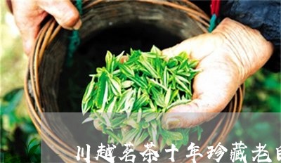 川越茗茶十年珍藏老白茶/2023102581714