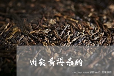 州卖普洱茶的/2023080241793