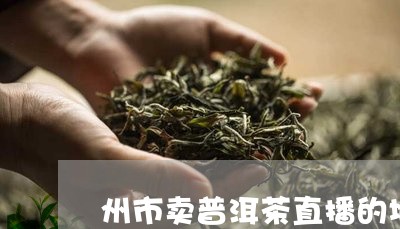 州市卖普洱茶直播的地方/2023112535060