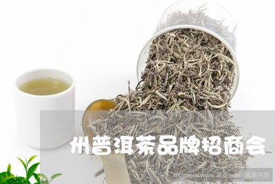 州普洱茶品牌招商会/2023092584049